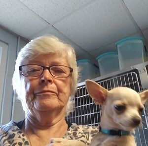 Meet your Posher, Jenny